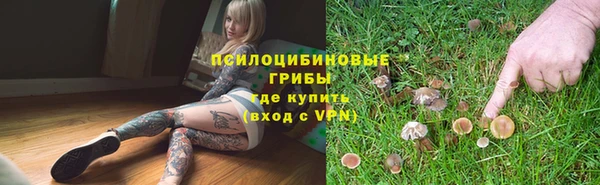 экстази Алексин