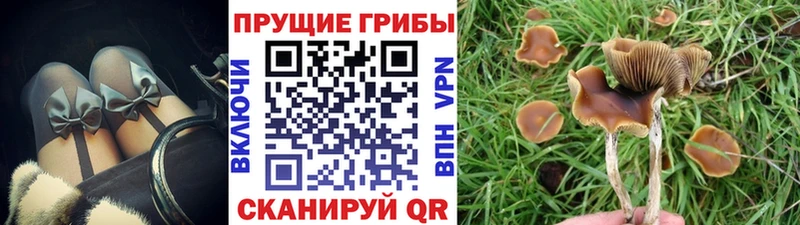 Галлюциногенные грибы прущие грибы  купить закладку  Углич 
